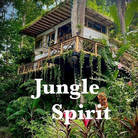 Jungle Spirit Treehouse Villa Cahuita Dış mekan fotoğraf