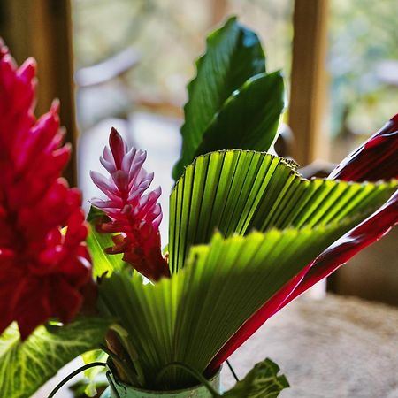 Jungle Spirit Treehouse Villa Cahuita Dış mekan fotoğraf