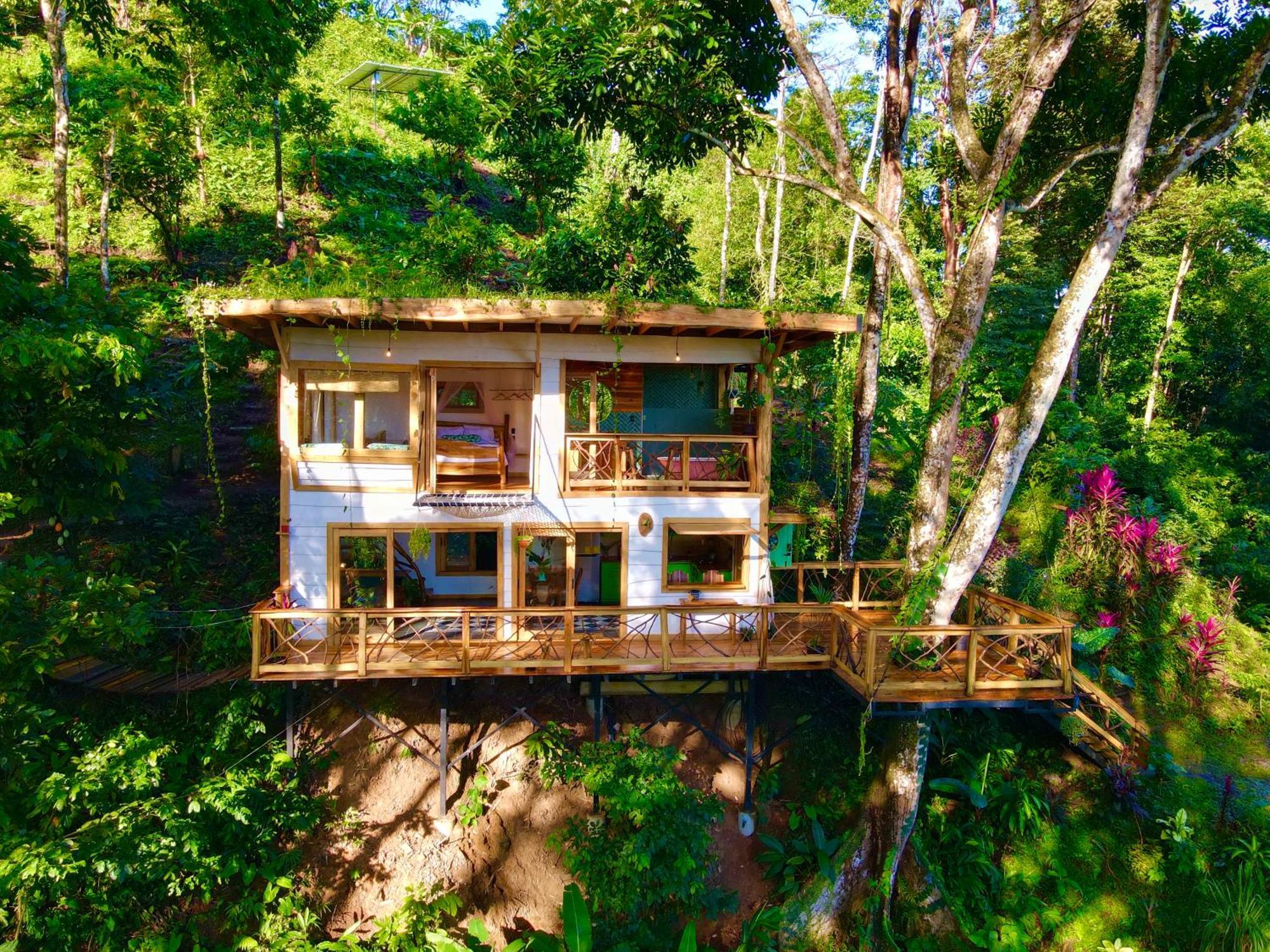 Jungle Spirit Treehouse Villa Cahuita Dış mekan fotoğraf