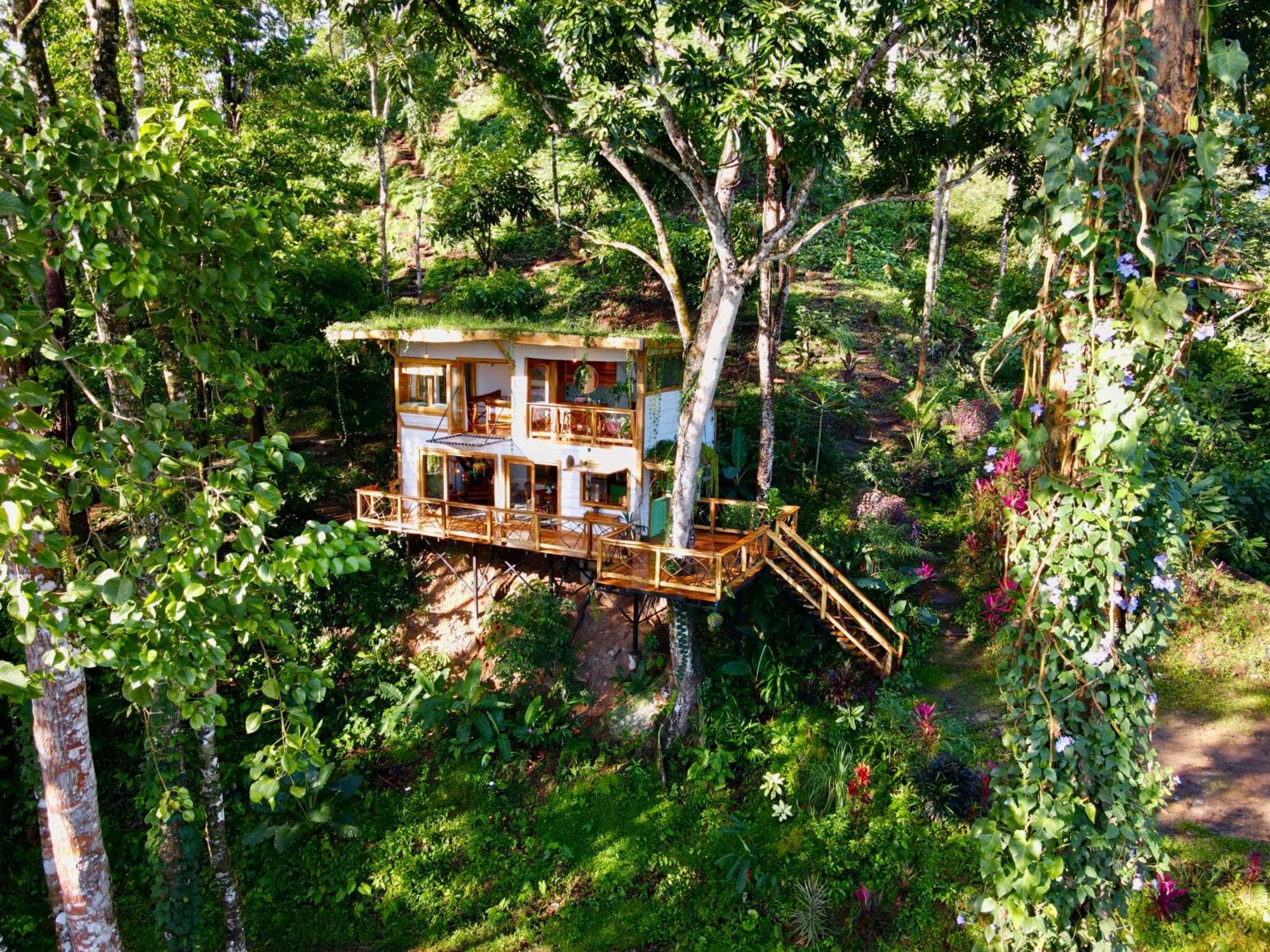 Jungle Spirit Treehouse Villa Cahuita Dış mekan fotoğraf
