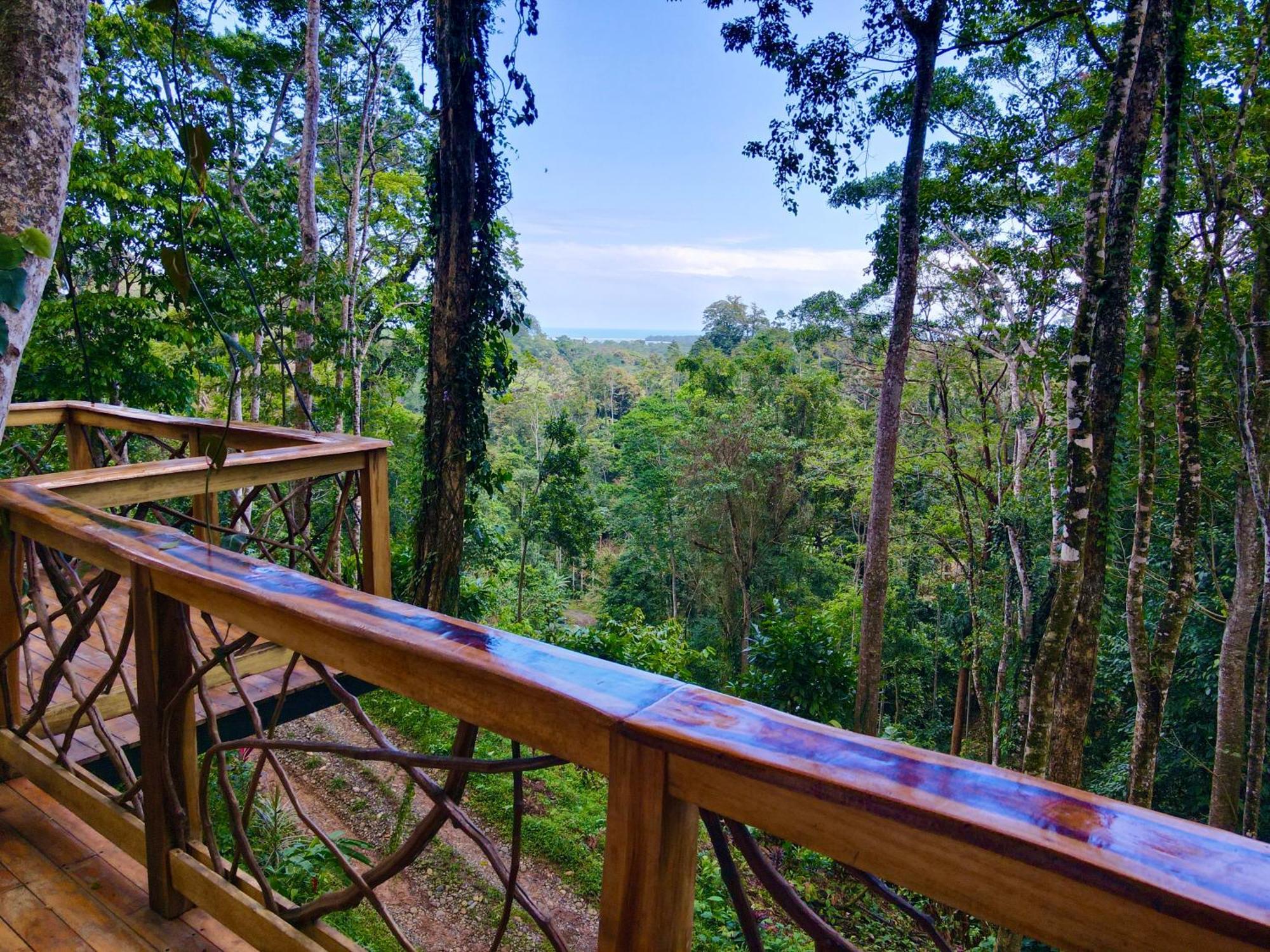 Jungle Spirit Treehouse Villa Cahuita Dış mekan fotoğraf