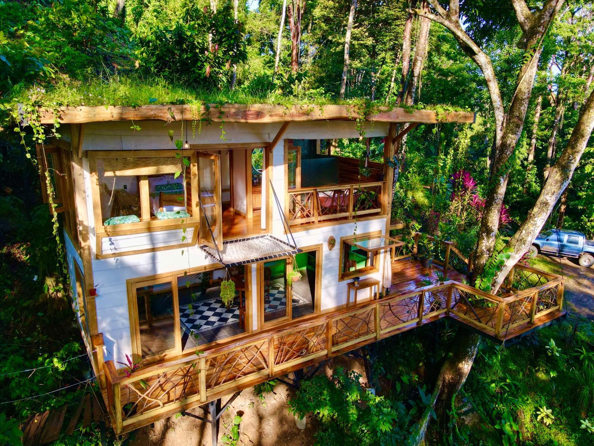 Jungle Spirit Treehouse Villa Cahuita Dış mekan fotoğraf