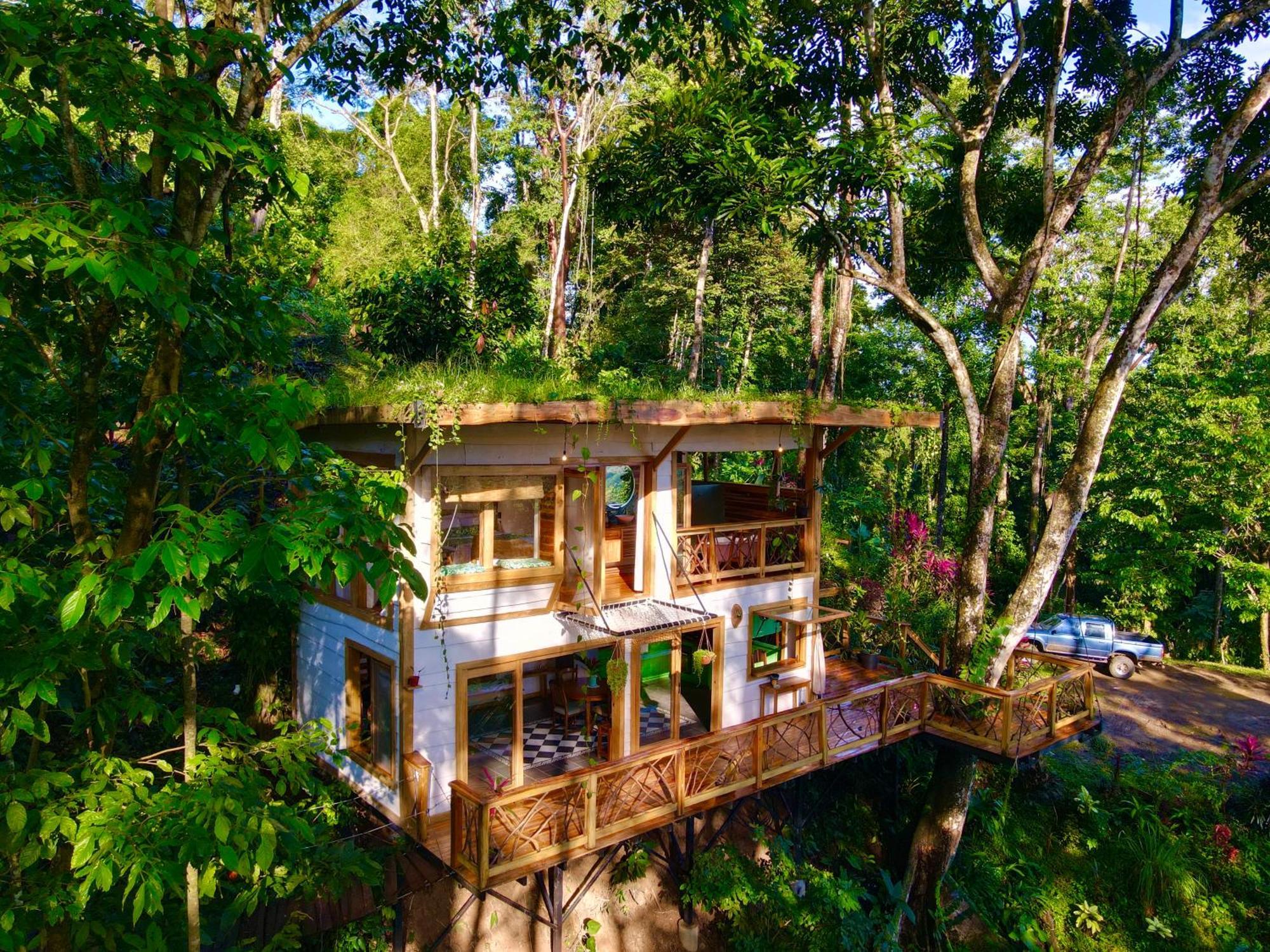Jungle Spirit Treehouse Villa Cahuita Dış mekan fotoğraf