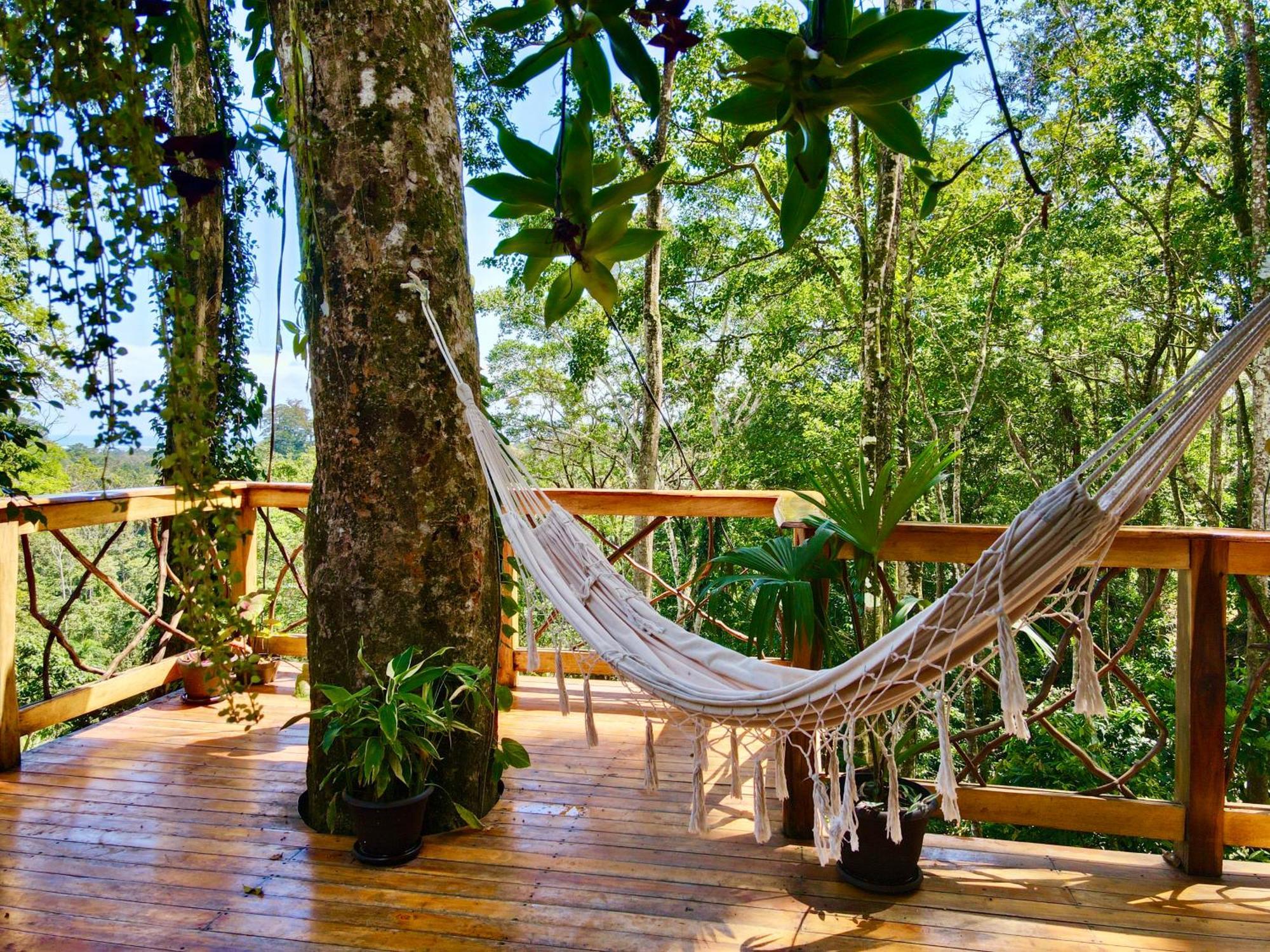 Jungle Spirit Treehouse Villa Cahuita Dış mekan fotoğraf