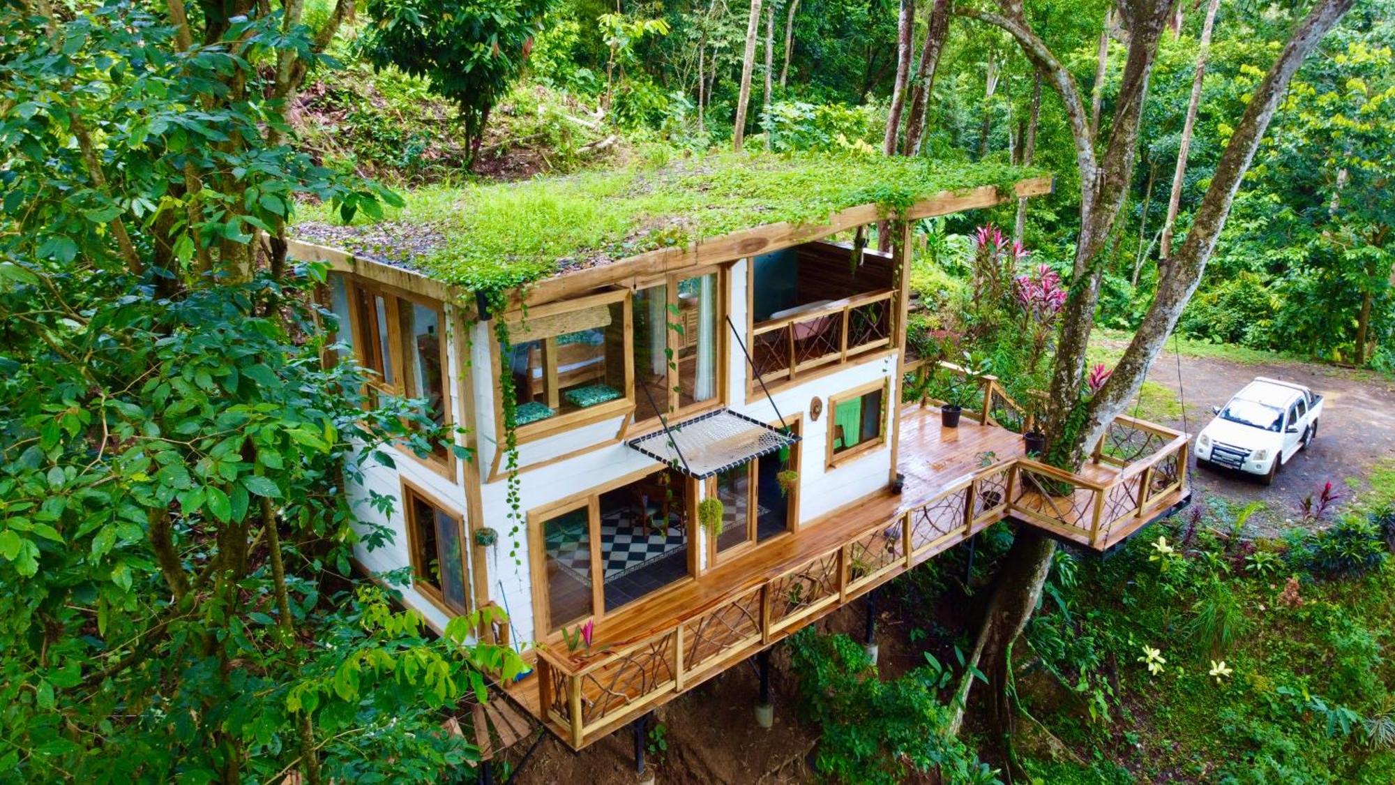 Jungle Spirit Treehouse Villa Cahuita Dış mekan fotoğraf