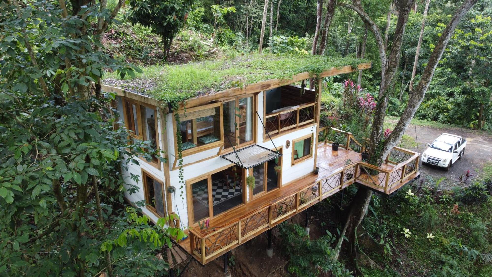 Jungle Spirit Treehouse Villa Cahuita Dış mekan fotoğraf