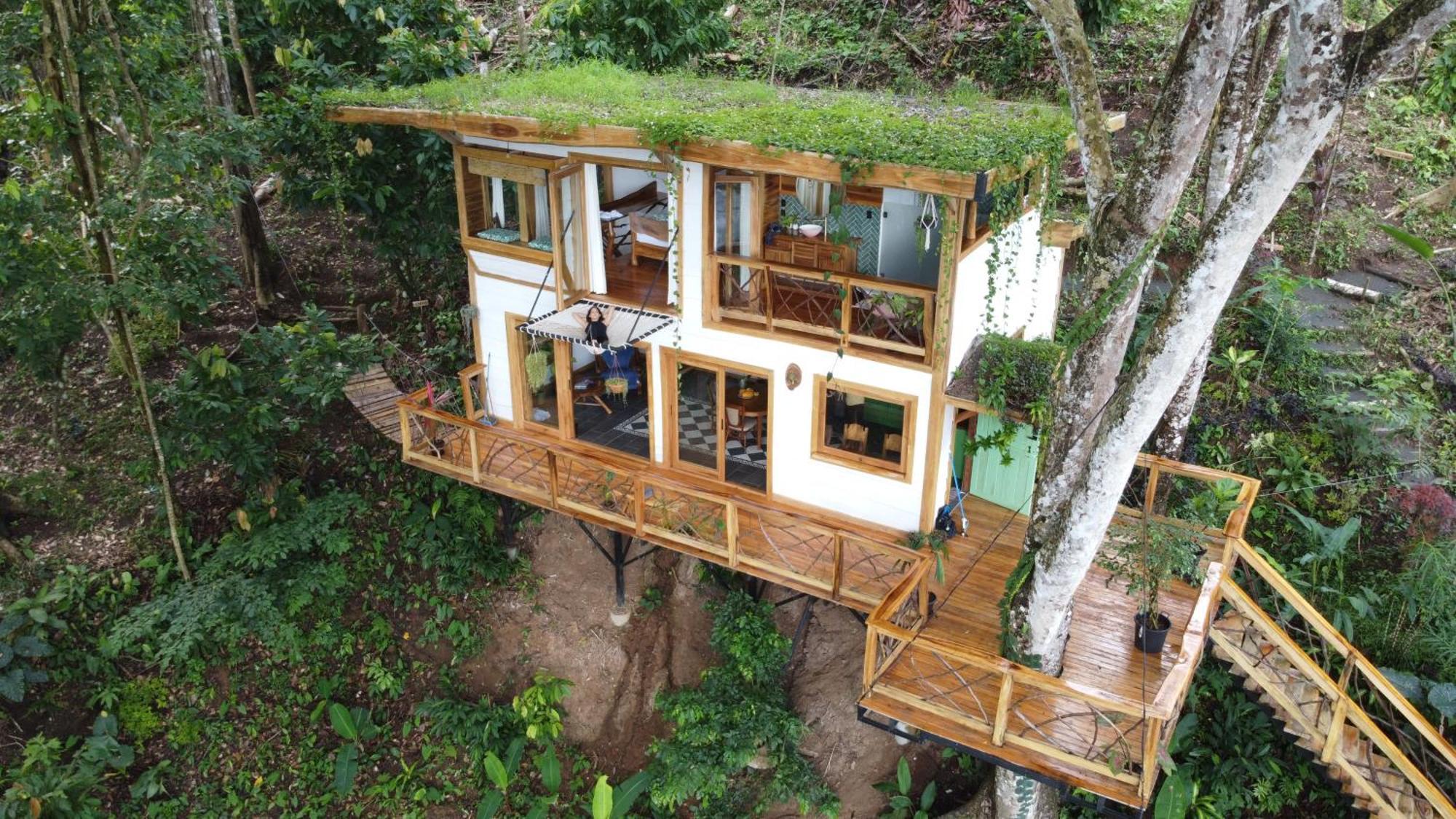 Jungle Spirit Treehouse Villa Cahuita Dış mekan fotoğraf