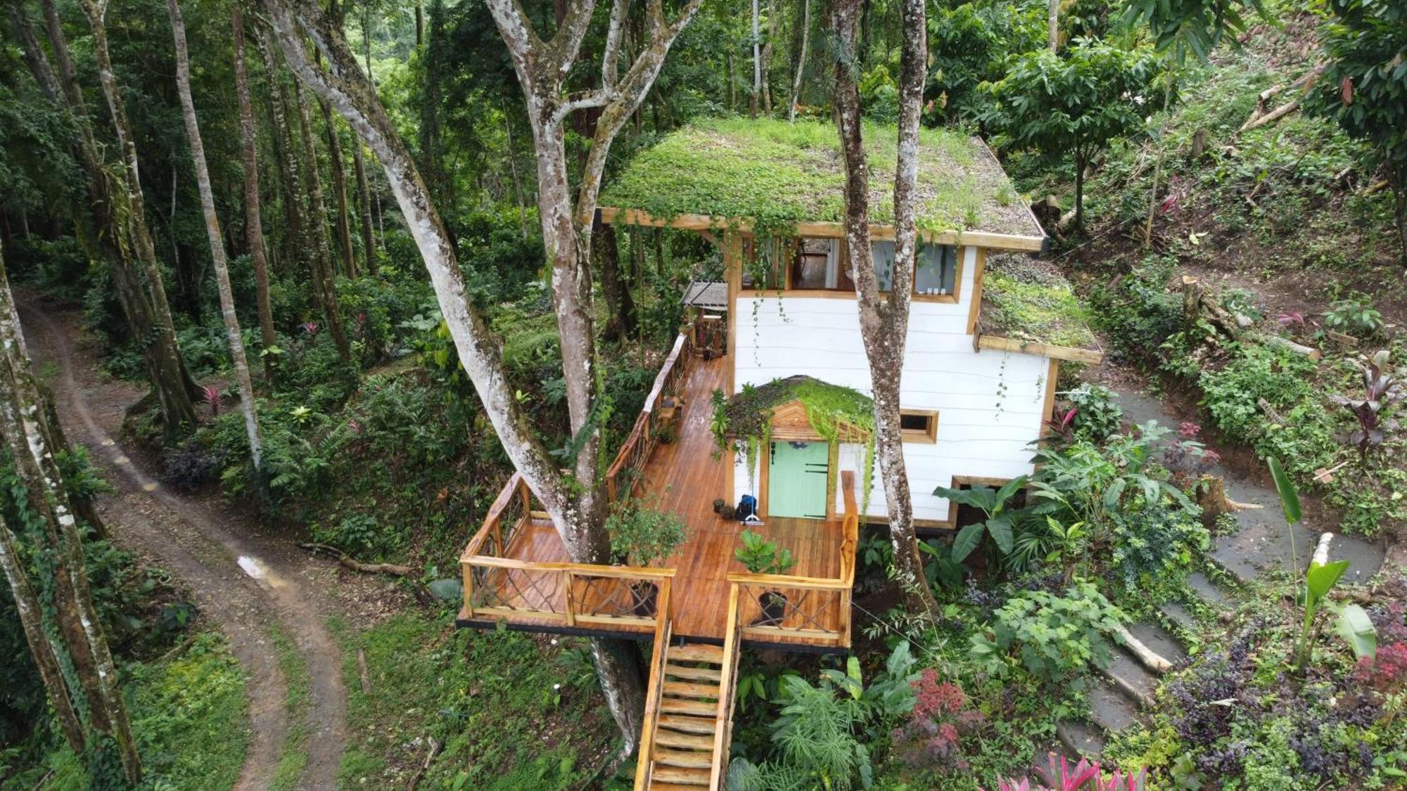 Jungle Spirit Treehouse Villa Cahuita Dış mekan fotoğraf