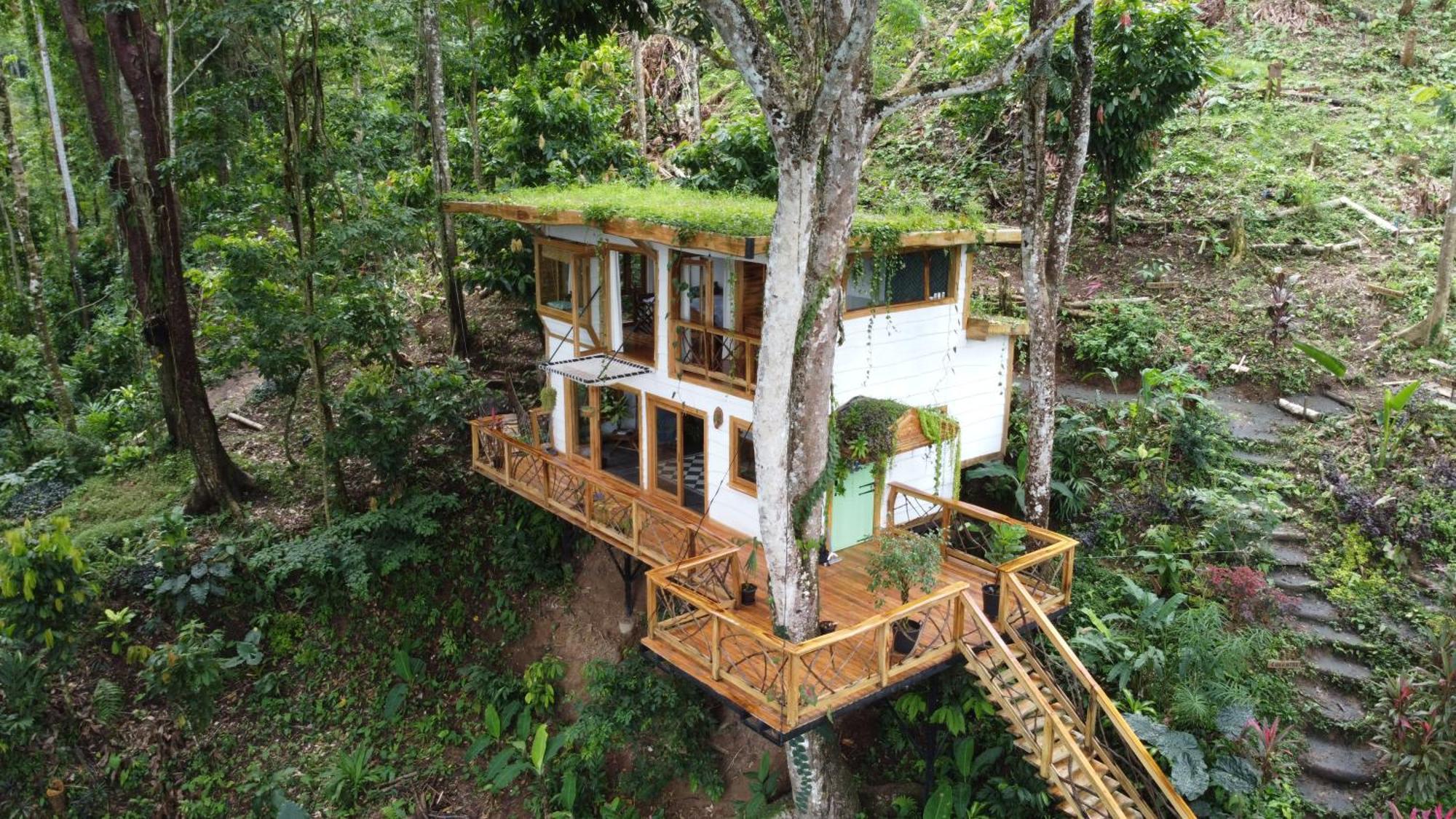Jungle Spirit Treehouse Villa Cahuita Dış mekan fotoğraf