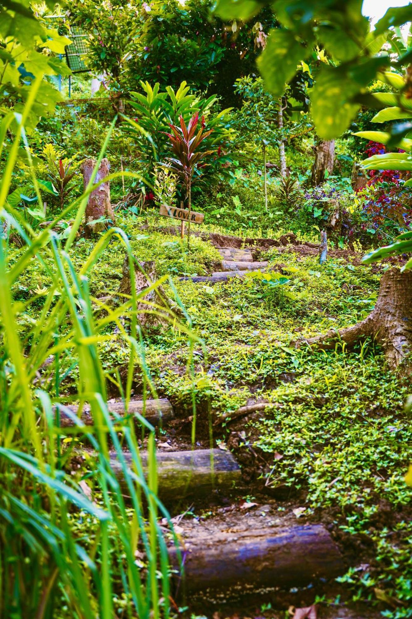 Jungle Spirit Treehouse Villa Cahuita Dış mekan fotoğraf