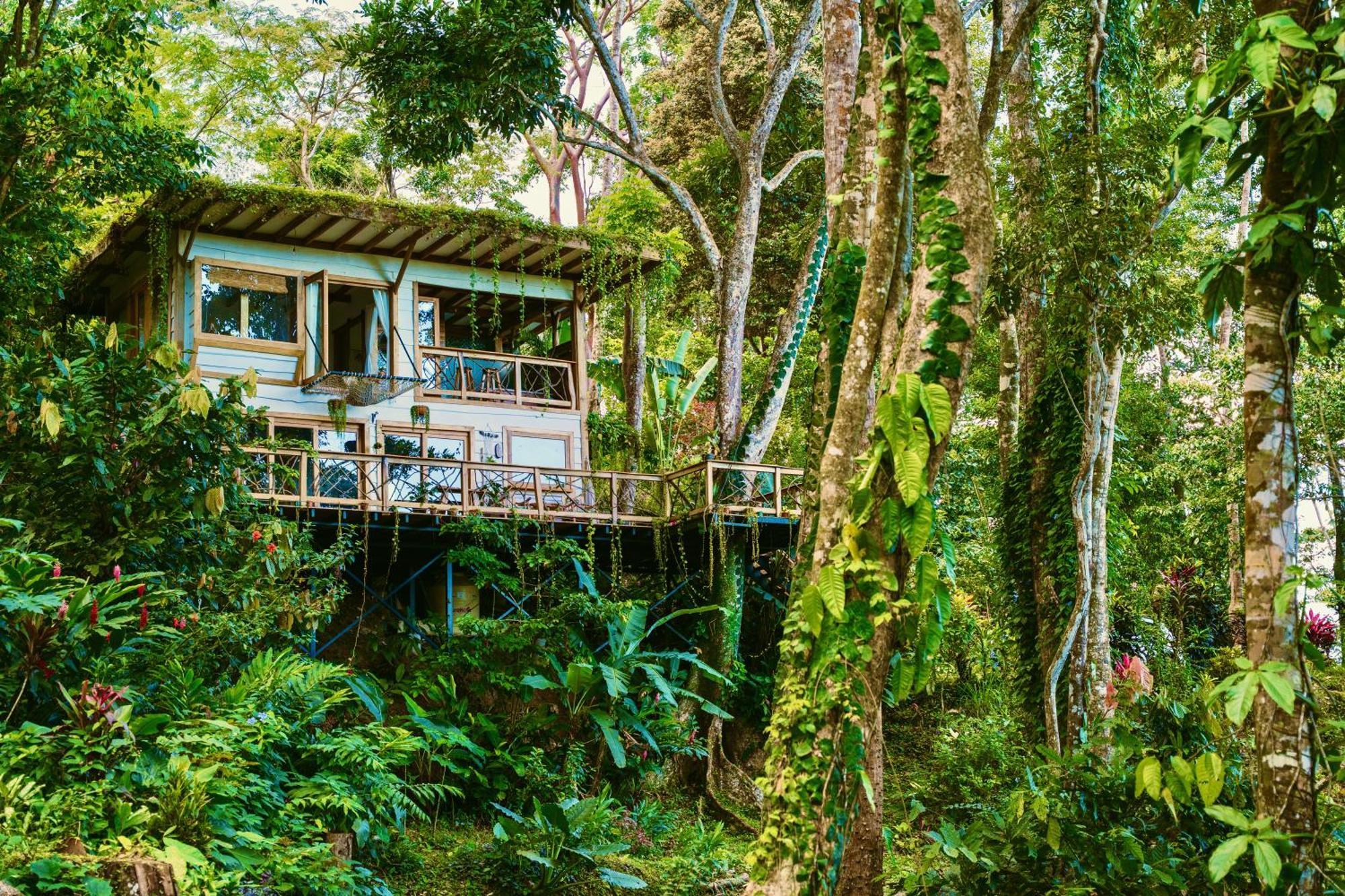 Jungle Spirit Treehouse Villa Cahuita Dış mekan fotoğraf