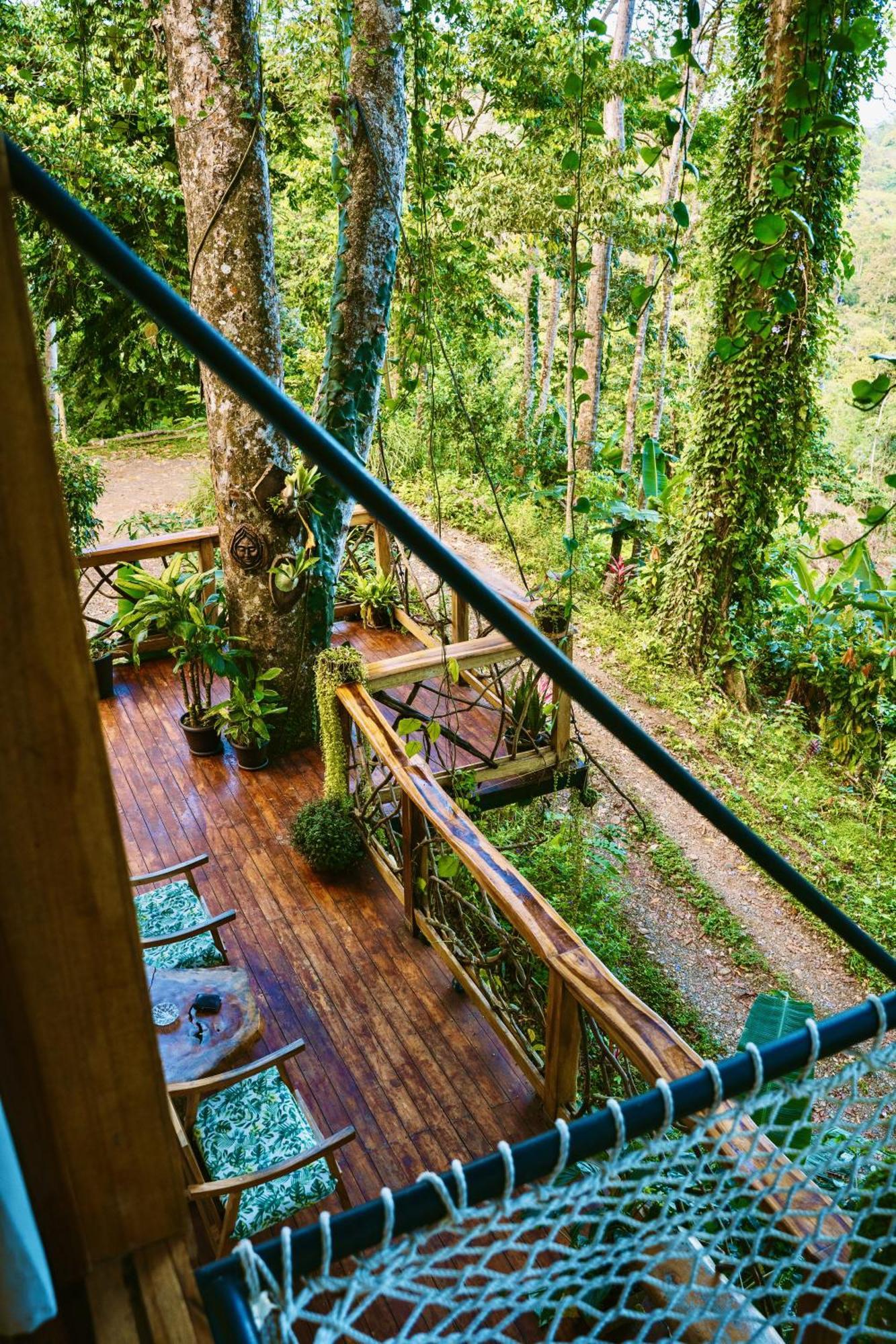 Jungle Spirit Treehouse Villa Cahuita Dış mekan fotoğraf