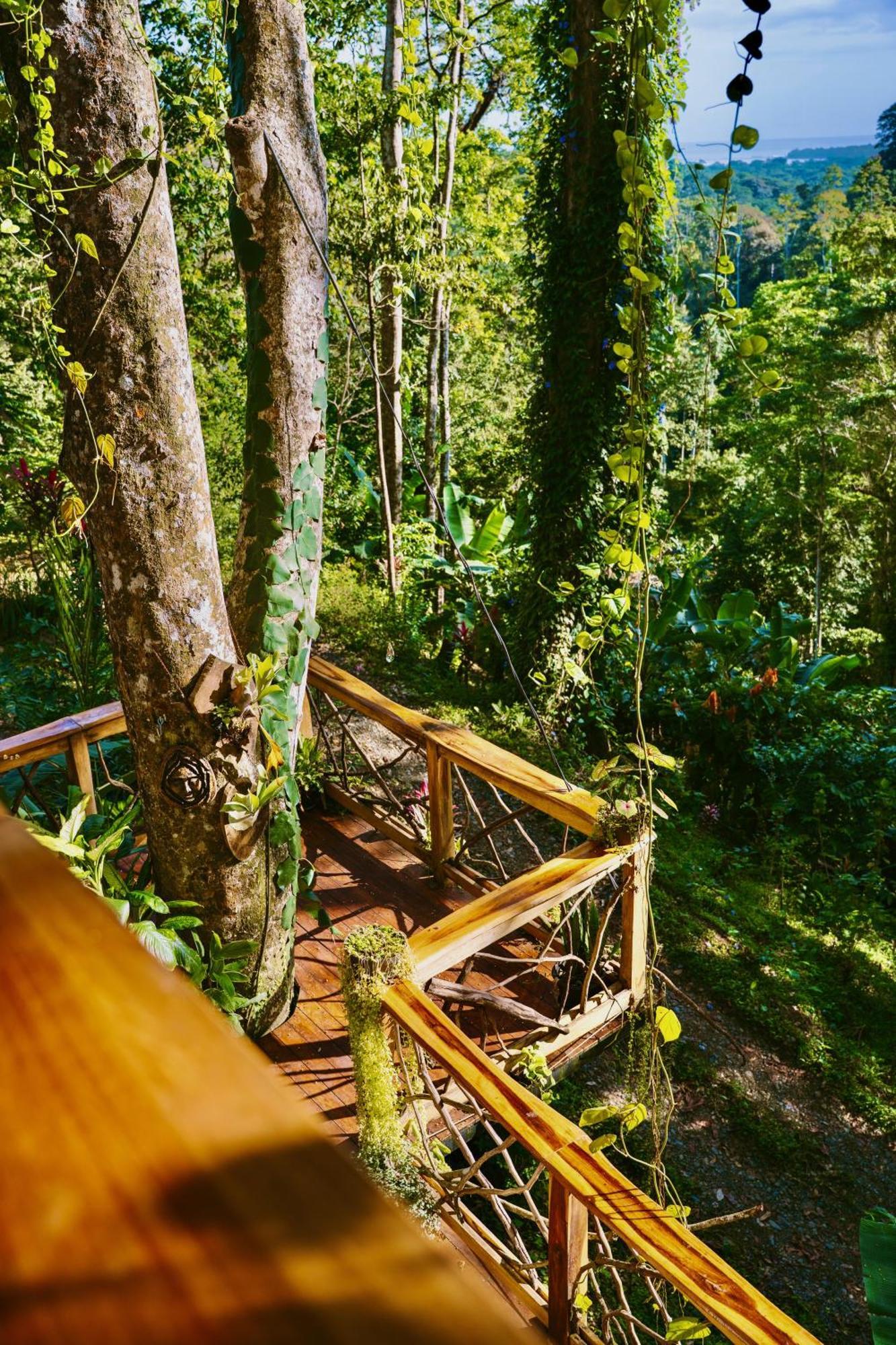 Jungle Spirit Treehouse Villa Cahuita Dış mekan fotoğraf