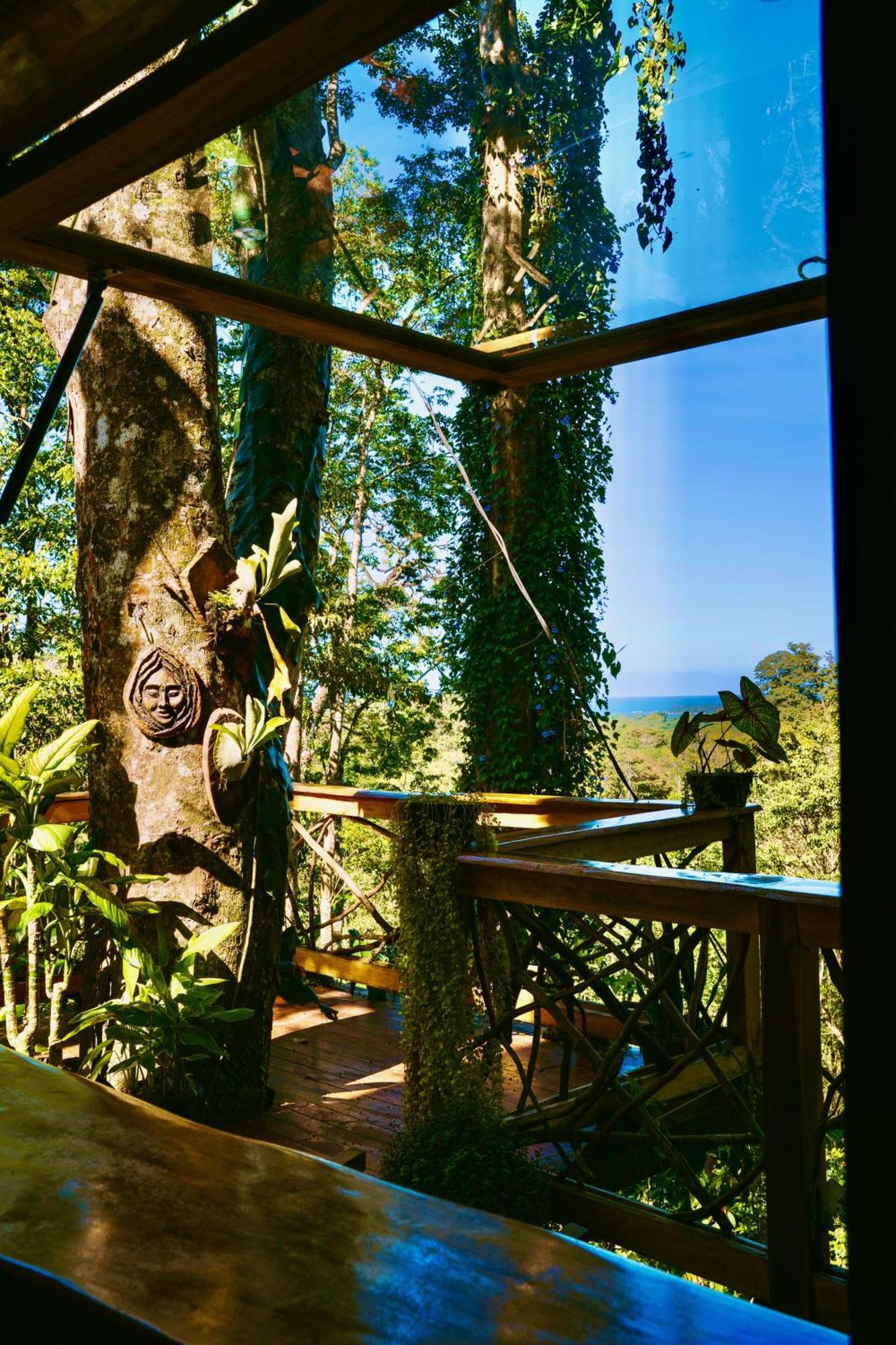 Jungle Spirit Treehouse Villa Cahuita Dış mekan fotoğraf