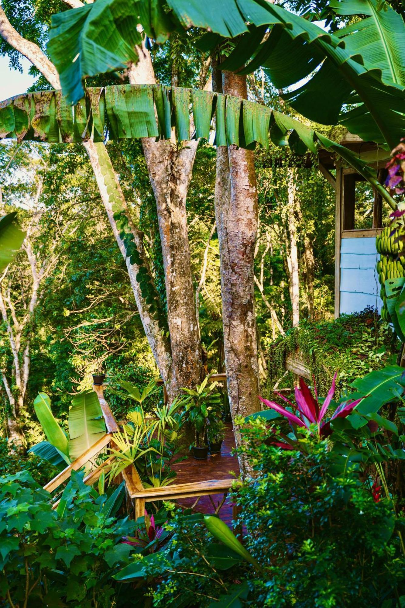 Jungle Spirit Treehouse Villa Cahuita Dış mekan fotoğraf