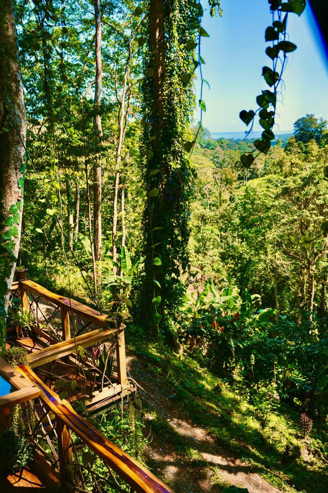 Jungle Spirit Treehouse Villa Cahuita Dış mekan fotoğraf