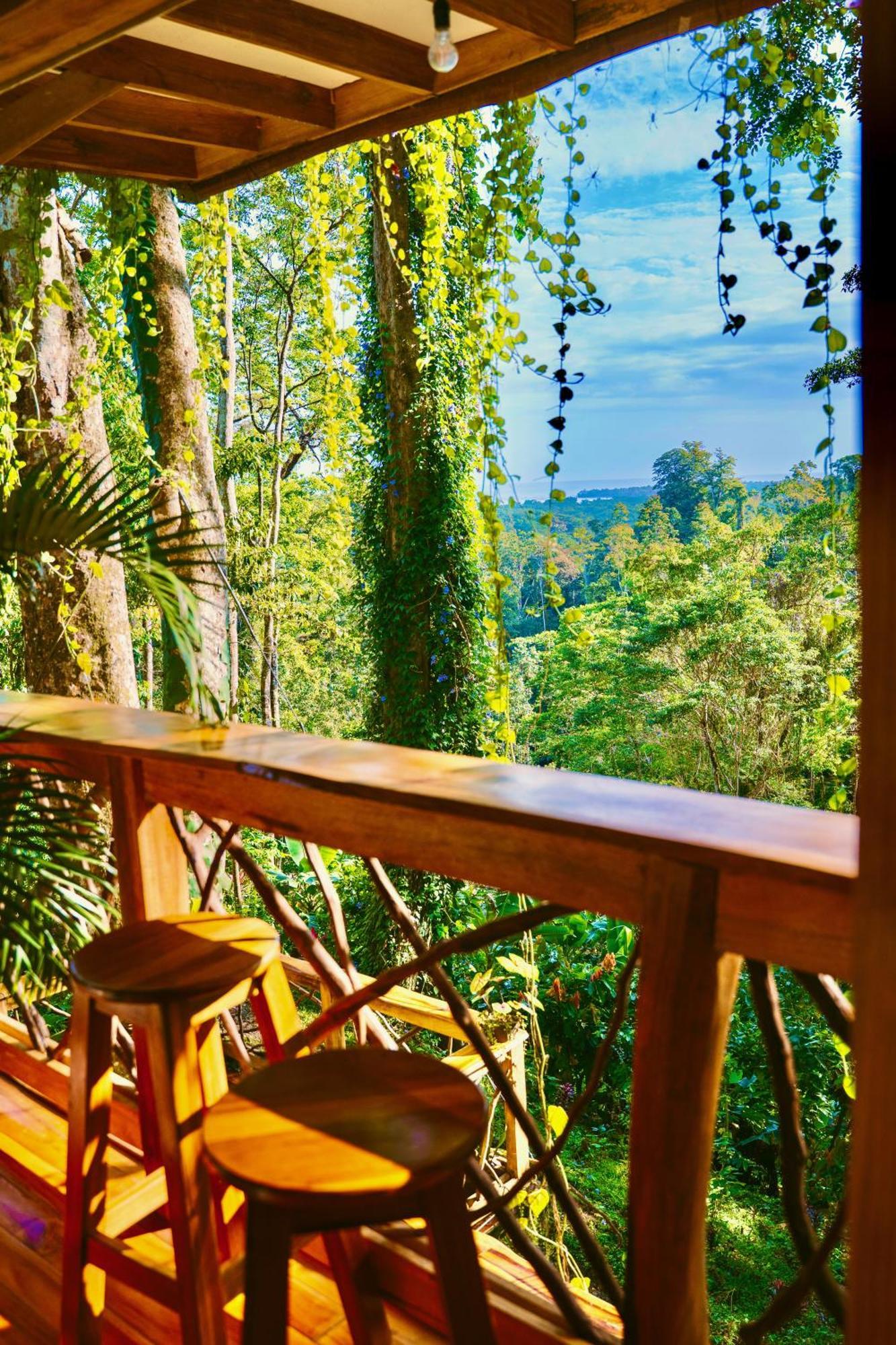 Jungle Spirit Treehouse Villa Cahuita Dış mekan fotoğraf